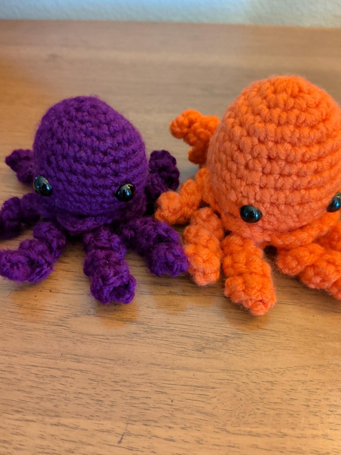 Jerry the Jellyfish Brothers